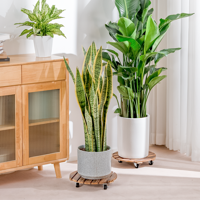 Bamworld 2 Pack Plant Stands Outdoor Plant Caddy with Wheels 12in Rolling Plant Stand with Wheels Planter Caddy Flower Cart Plant Dolly for Heavy Duty Large Plants Plant Rollers