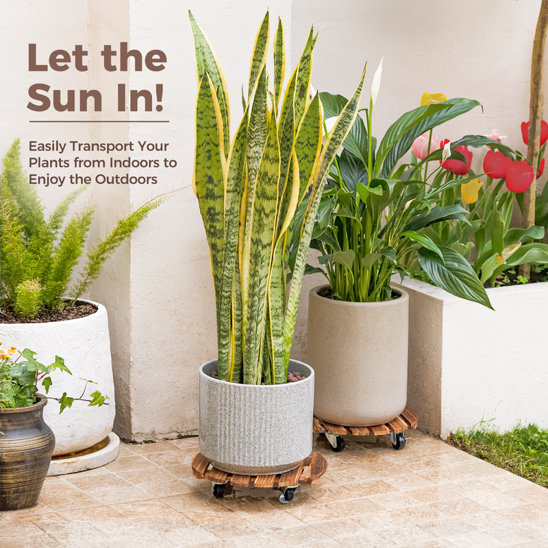 Bamworld 2 Pack Plant Stands Outdoor Plant Caddy with Wheels 12in Rolling Plant Stand with Wheels Planter Caddy Flower Cart Plant Dolly for Heavy Duty Large Plants Plant Rollers