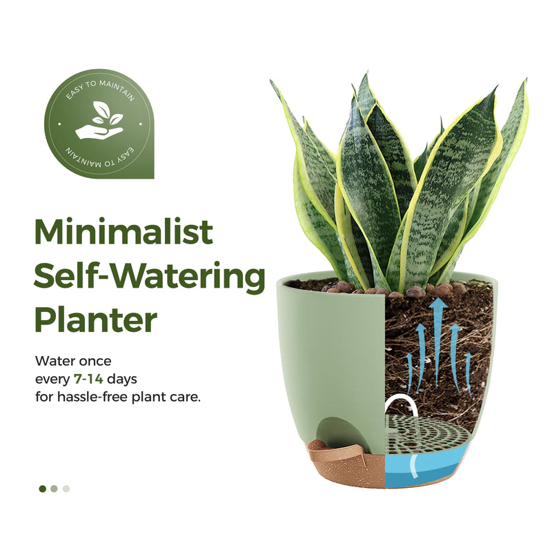 Indoor Self Watering Planters with Drainage Holes and Saucers, 8, 7, 6.5, 6, 5.5, 5 Inches, Green, 6 Pots