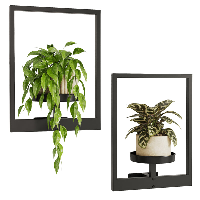 window frame plant hanger Bamworld Plant Stand Wall Hanging Planters for Indoor Plants Plant Han